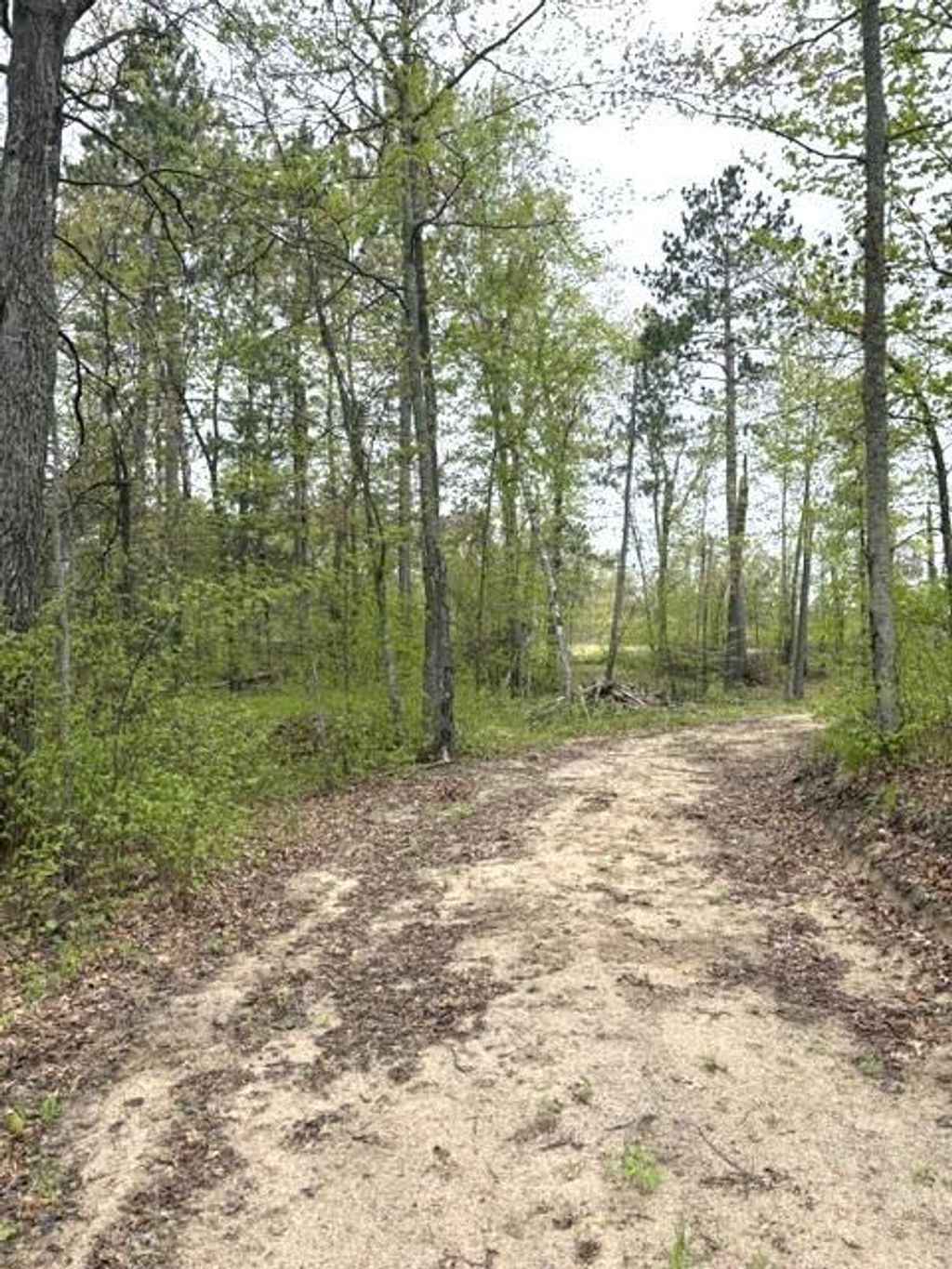 Photo of 22132 Buckhorn Trail, Merrifield, MN 56465 (MLS # 7080486)