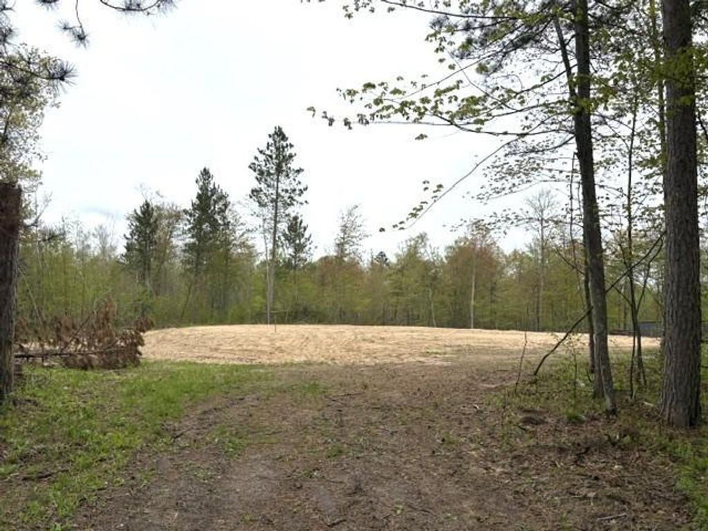 Photo of 22132 Buckhorn Trail, Merrifield, MN 56465 (MLS # 7080486)