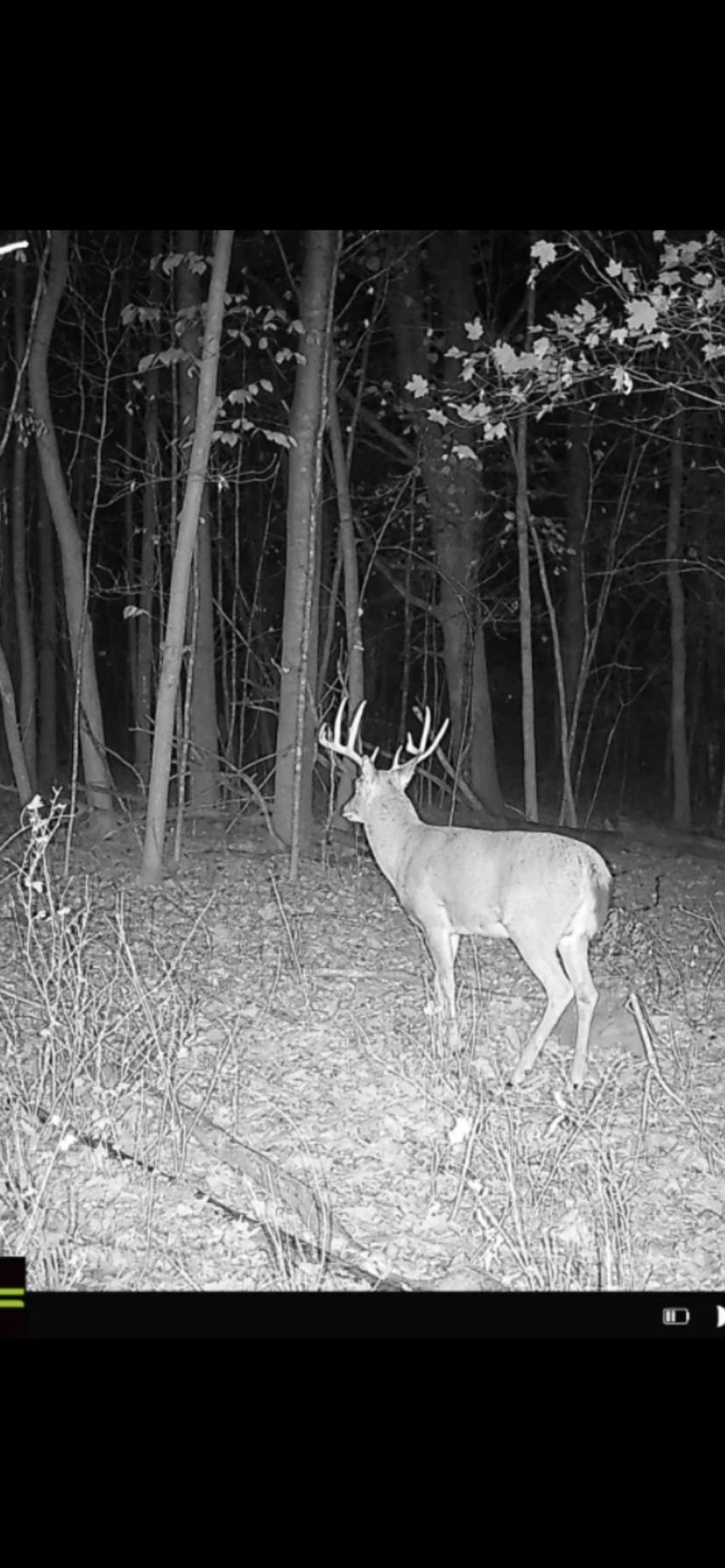 Photo of XX5 County Road 3, Holdingford, MN 56340 (MLS # 7007834)