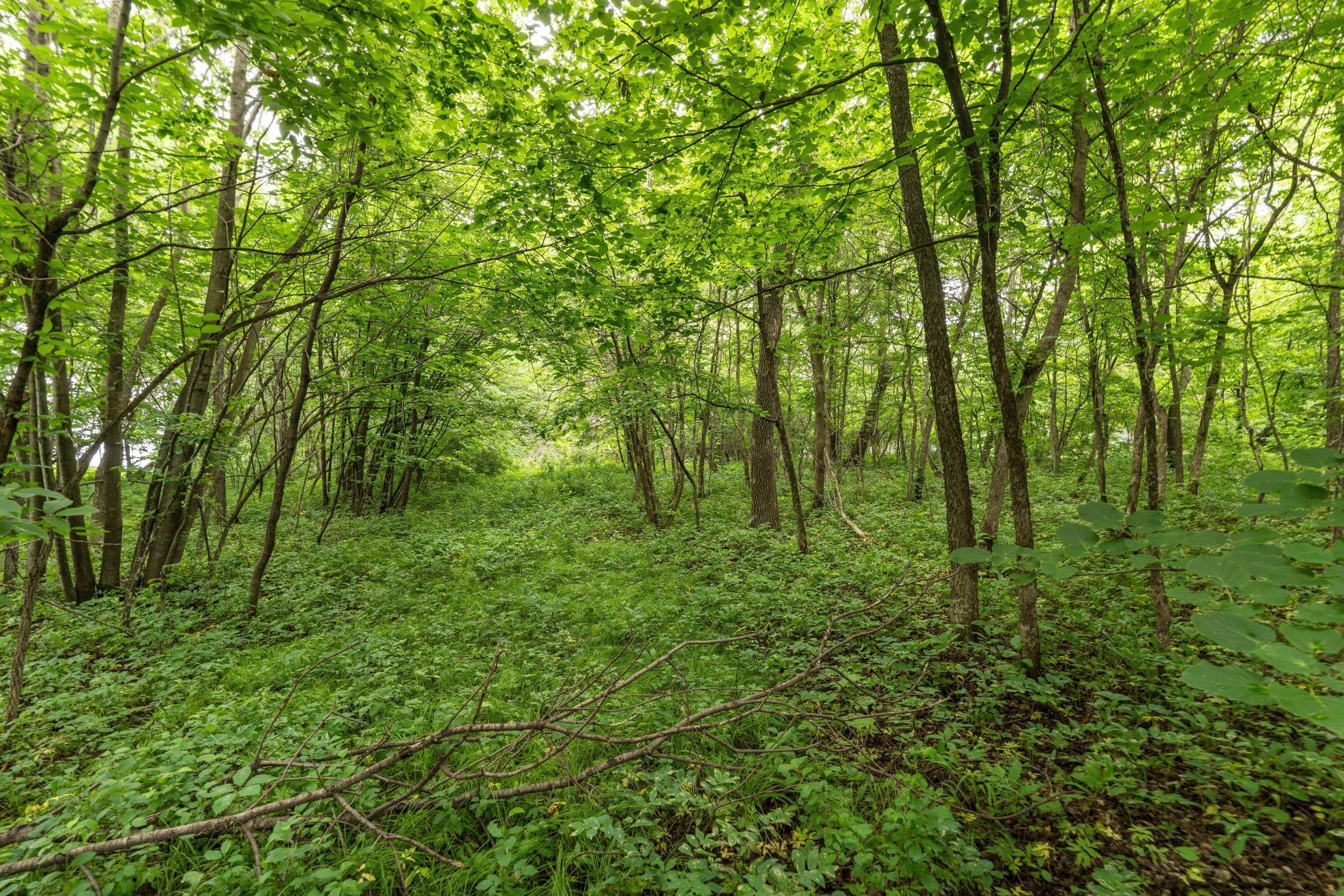 TBD West Point Trail