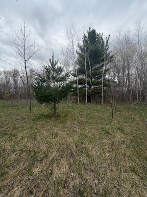 OTTAWA DR, BROWERVILLE, MN 56438 - Image 515cfd3fc5b95e55afdb9c37b1ba3ca4/2691491236