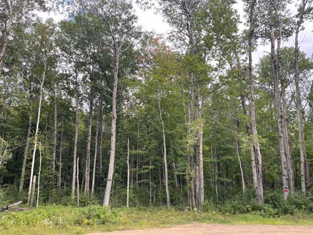 Photo of 0 Levi Lane, Crosslake, MN 56442 (MLS # 7020079)