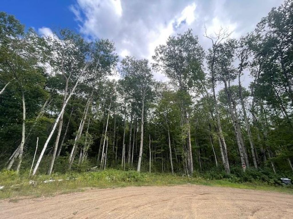 Photo of 0 Levi Lane, Crosslake, MN 56442 (MLS # 7020079)