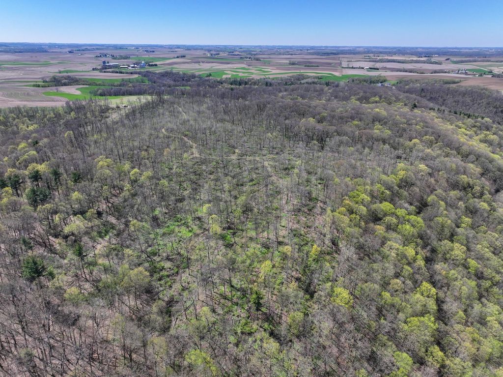 Photo of tbd Tierney Drive, Saint Charles, MN 55910 (MLS # 7064065)