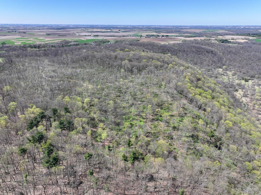 Photo of tbd Tierney Drive, Saint Charles, MN 55910 (MLS # 7064065)