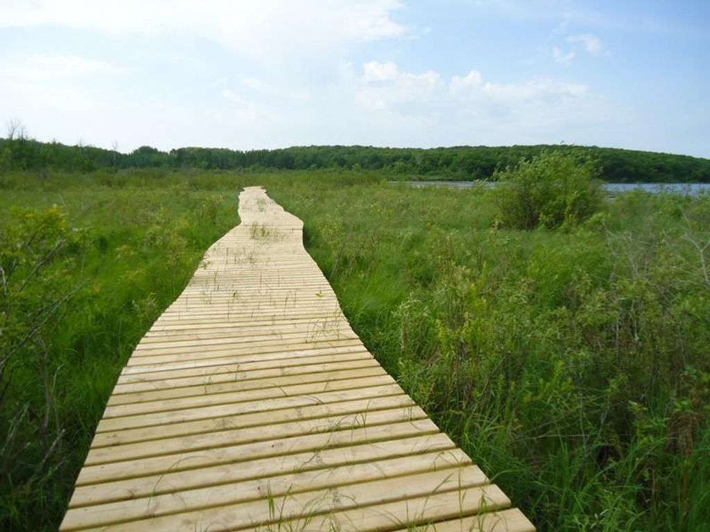 Photo of 3915 S Sebie Lake Road, Fort Ripley, MN 56449 (MLS # 7058960)