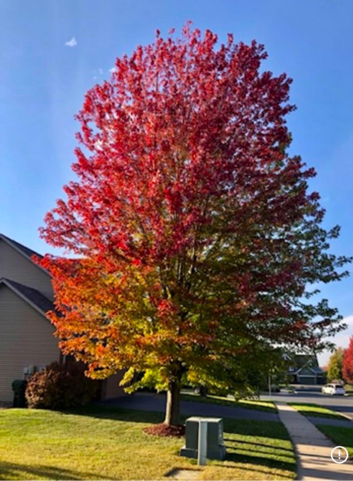 13880 Clare Downs Way