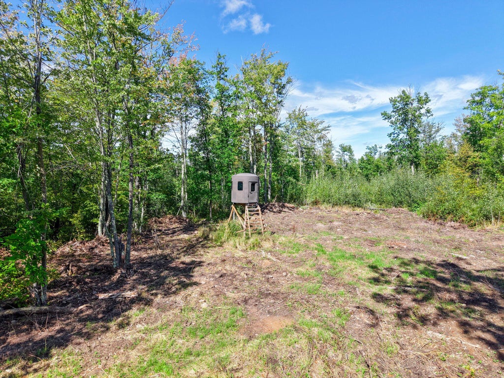 Photo of xxx Fleming Logging Road, Hinckley, MN 55037 (MLS # 7145641)