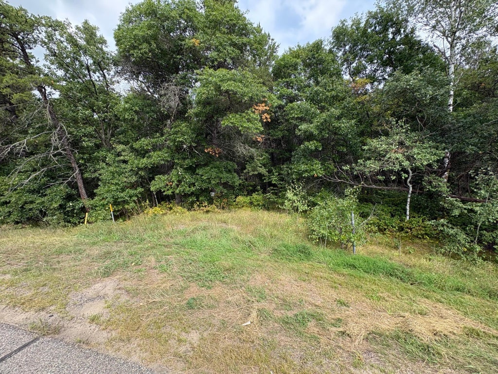Photo of TBD State Hwy 371, Jenkins, MN 56456 (MLS # 7140001)