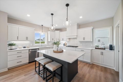 14367 Acer Avenue Rosemount MN 55068