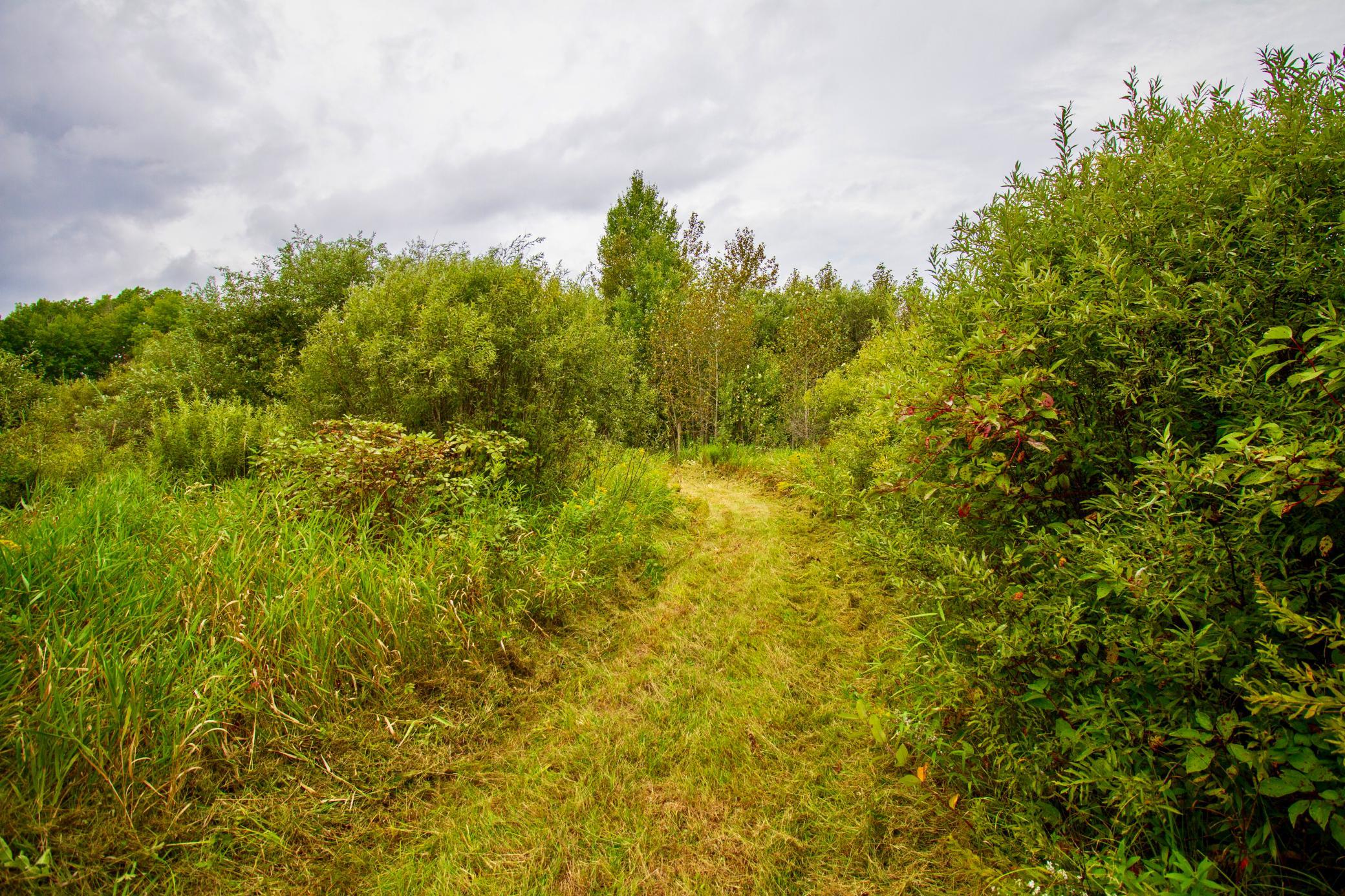 TBD 480th/Cty Rd 3 Street