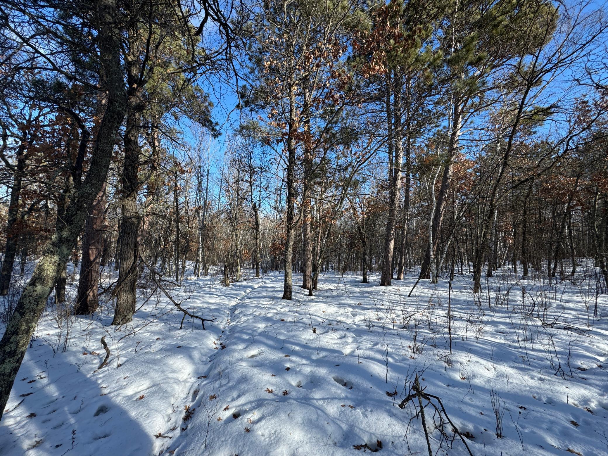 Lot 12 Firewood Trail