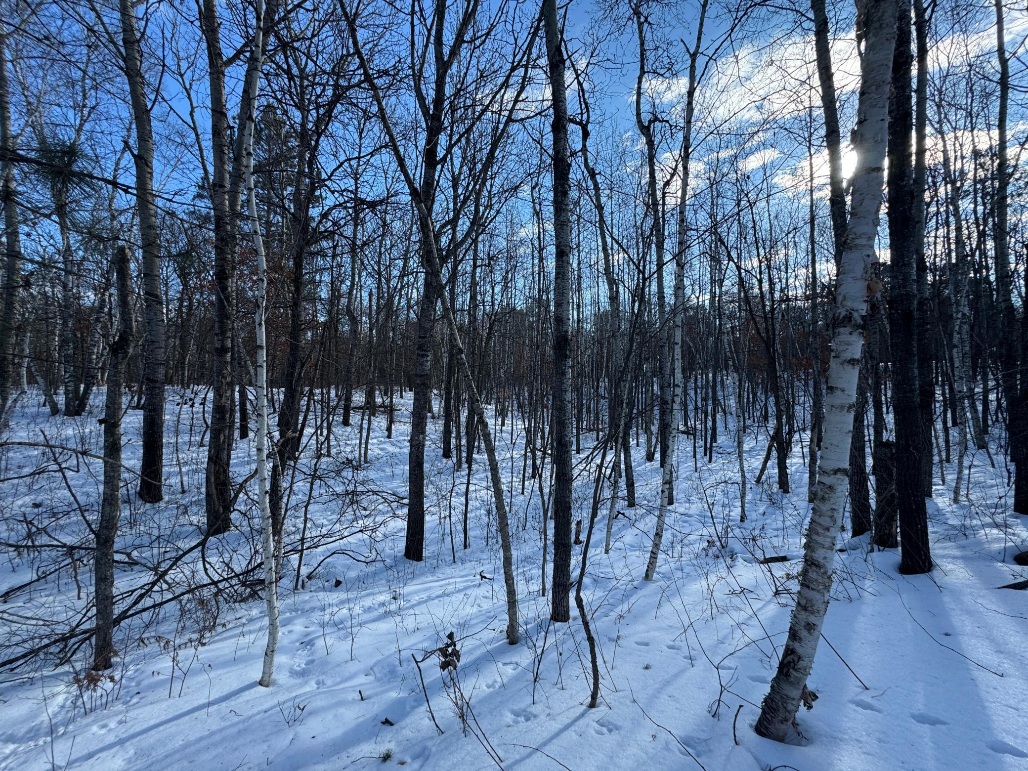 Lot 12 Firewood Trail