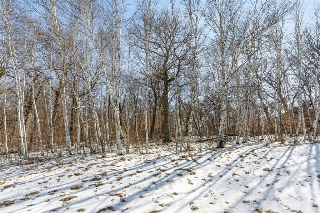 Photo of 21781 Trestle Ridge Road, Albany, MN 56307 (MLS # 7045496)