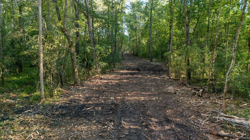 Photo of XXXX Greenwood Trail, Pine City, MN 55063 (MLS # 7017483)