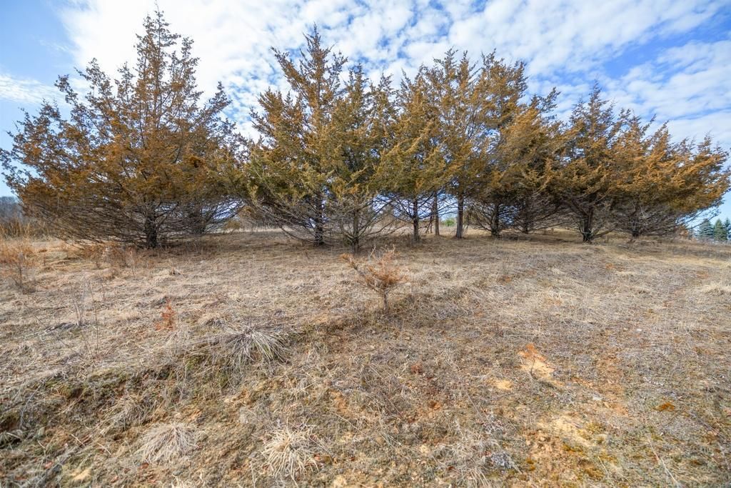 Photo of 5131 Trading Post Trail S, Afton, MN 55001 (MLS # 7033176)