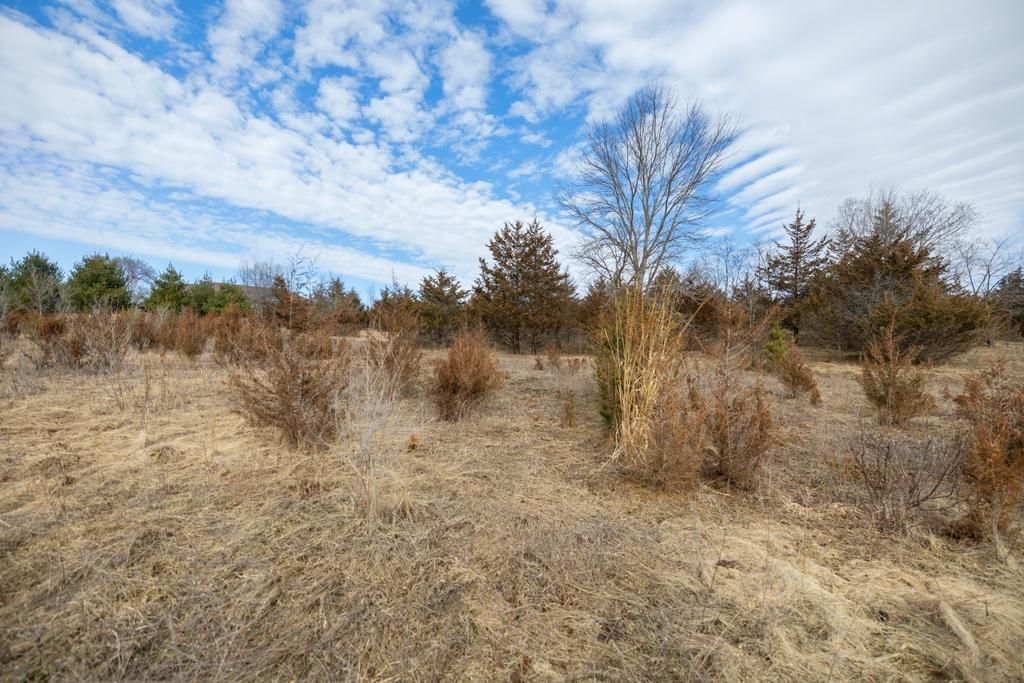 Photo of 5131 Trading Post Trail S, Afton, MN 55001 (MLS # 7033176)