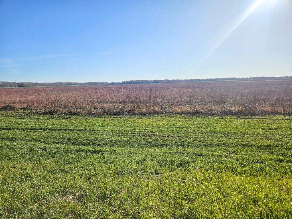 Photo of TBD TBD, New Maine Twp, MN 56738 (MLS # 6817842)