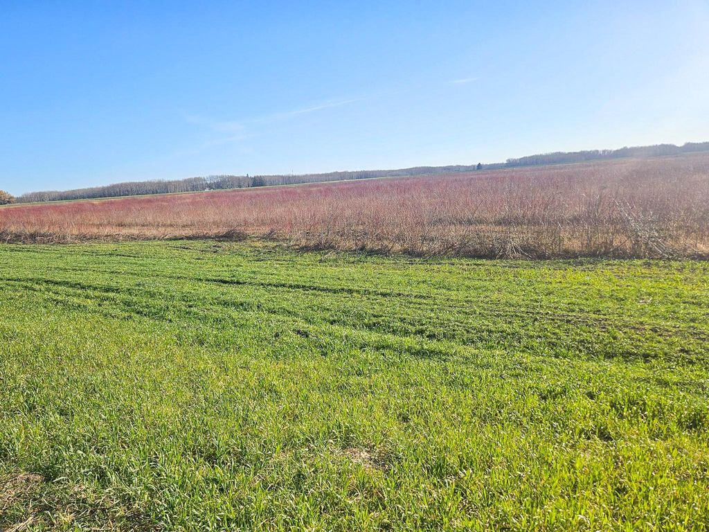 Photo of TBD TBD, New Maine Twp, MN 56738 (MLS # 6817842)