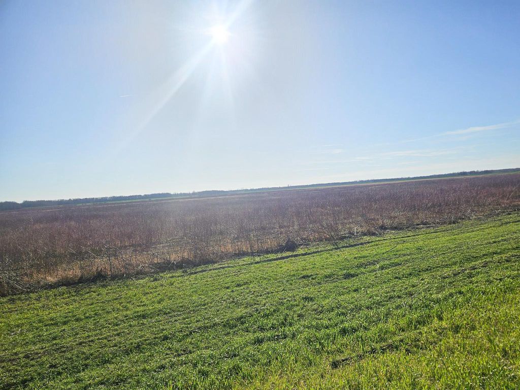 Photo of TBD TBD, New Maine Twp, MN 56738 (MLS # 6817842)