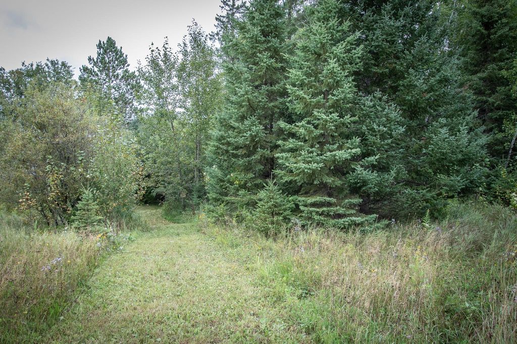 Photo of TBD Libby Lake Road, Nashwauk, MN 55769 (MLS # 7039667)