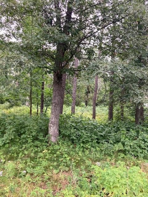 Lot 39 & 40 Owl Circle Breezy Point MN 56472