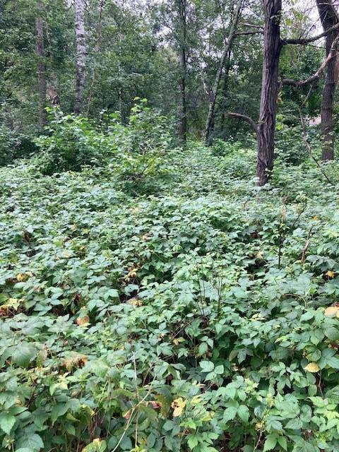 Lot 39 & 40 Owl Circle