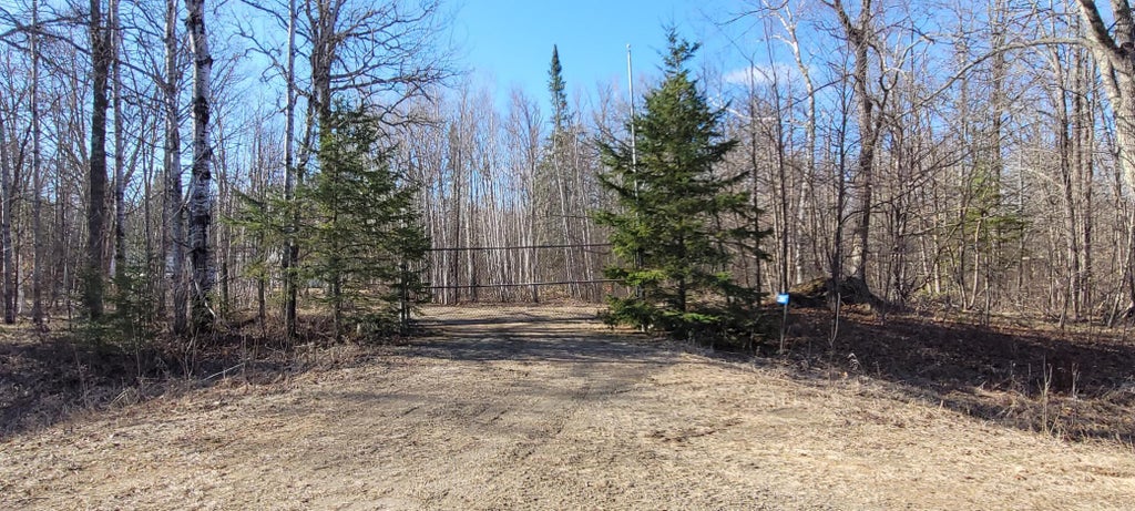 Photo of 3967 County 7 NE, Remer, MN 56672 (MLS # 7164505)