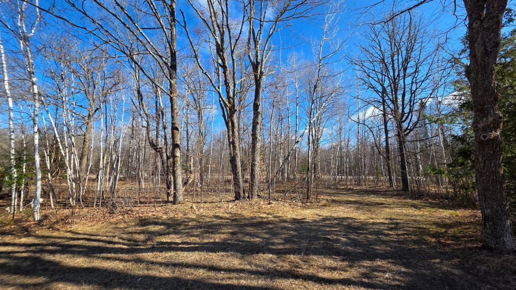 Photo of 3967 County 7 NE, Remer, MN 56672 (MLS # 7164505)