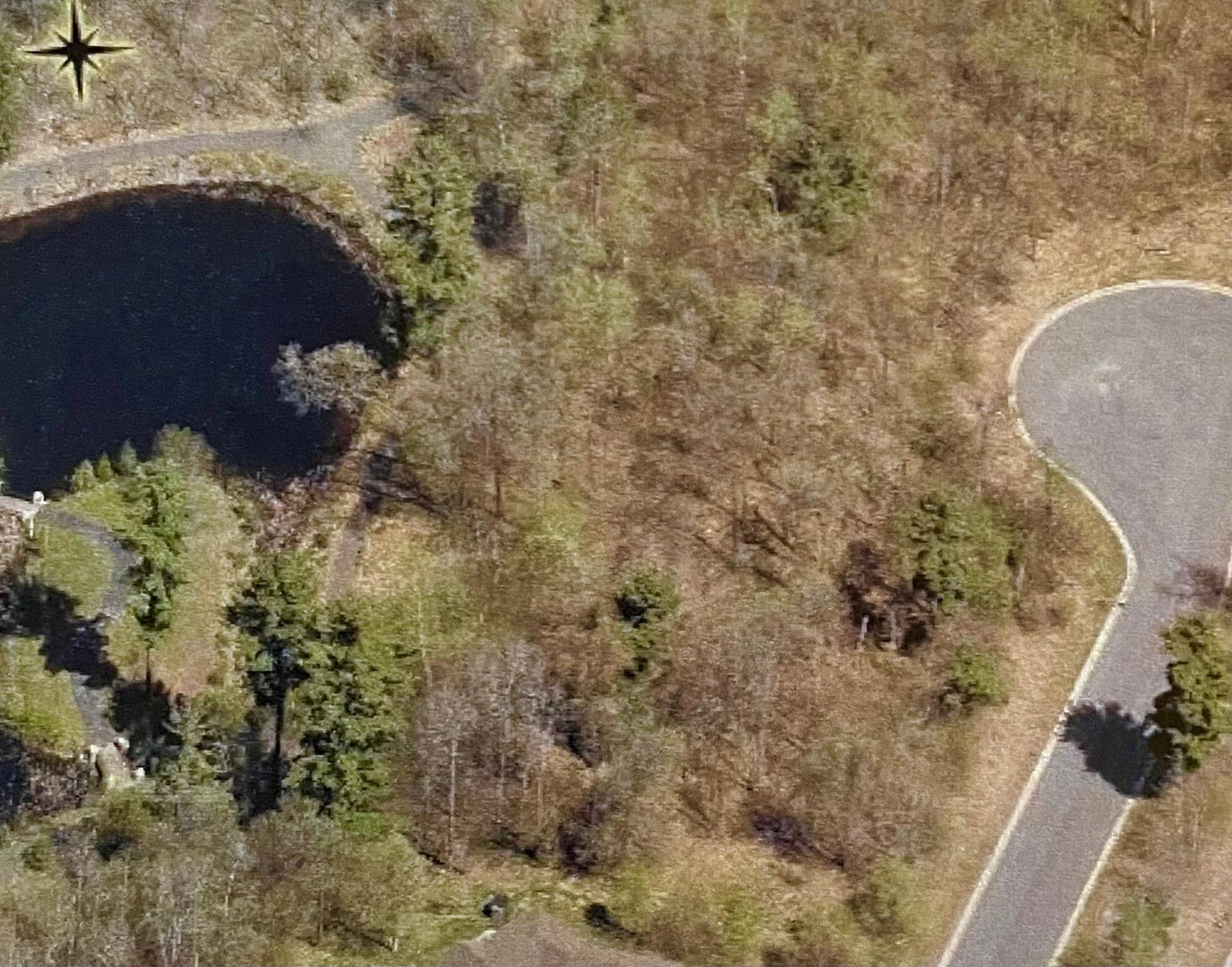 15939 Old Stonebridge Trail