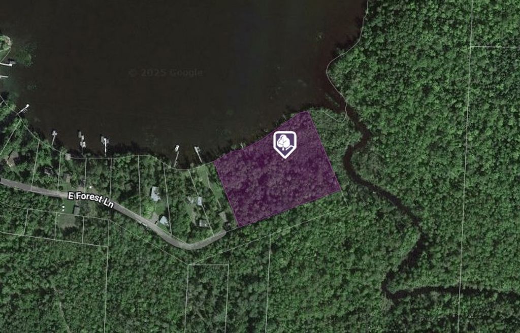 Photo of TBD E Forest Lane, Fine Lakes Twp, MN 55798 (MLS # 6731974)