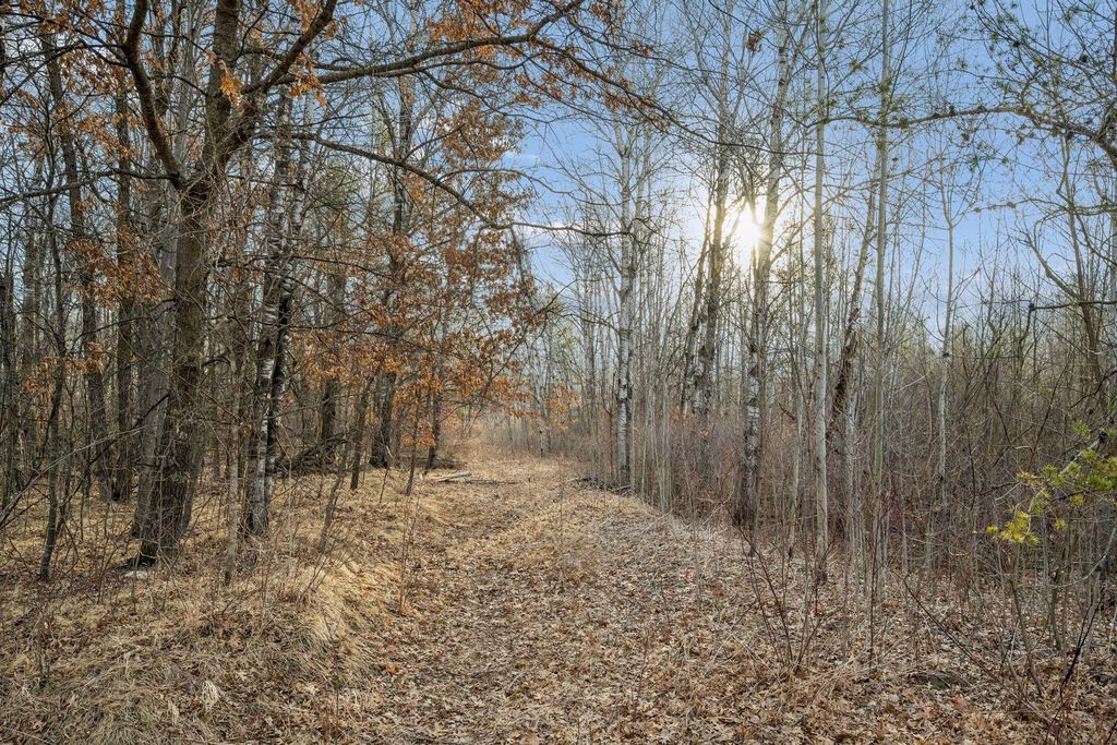 Photo of 50828 Tradesman Road, Staples, MN 56479 (MLS # 7012867)