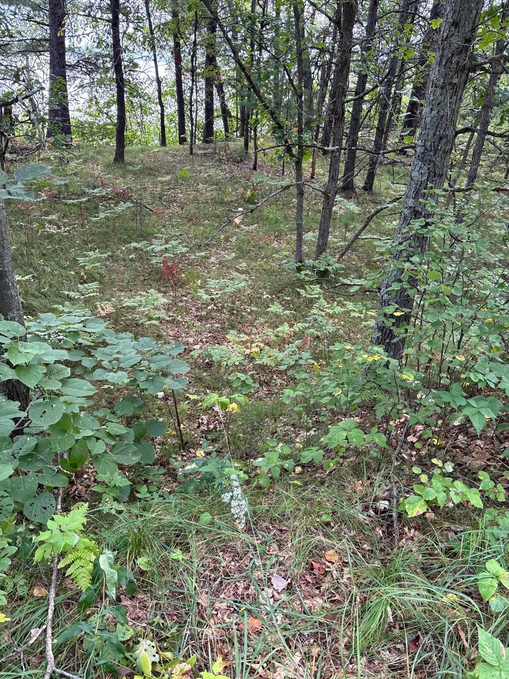 Photo of Lot 77 Airport Road, Breezy Point, MN 56472 (MLS # 7027869)