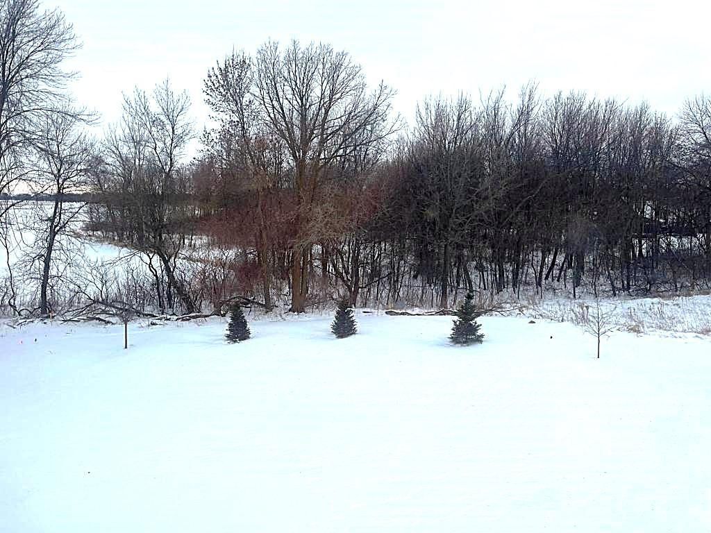 Photo of 1889 Charleston Lane, Waconia, MN 55387 (MLS # 7002818)