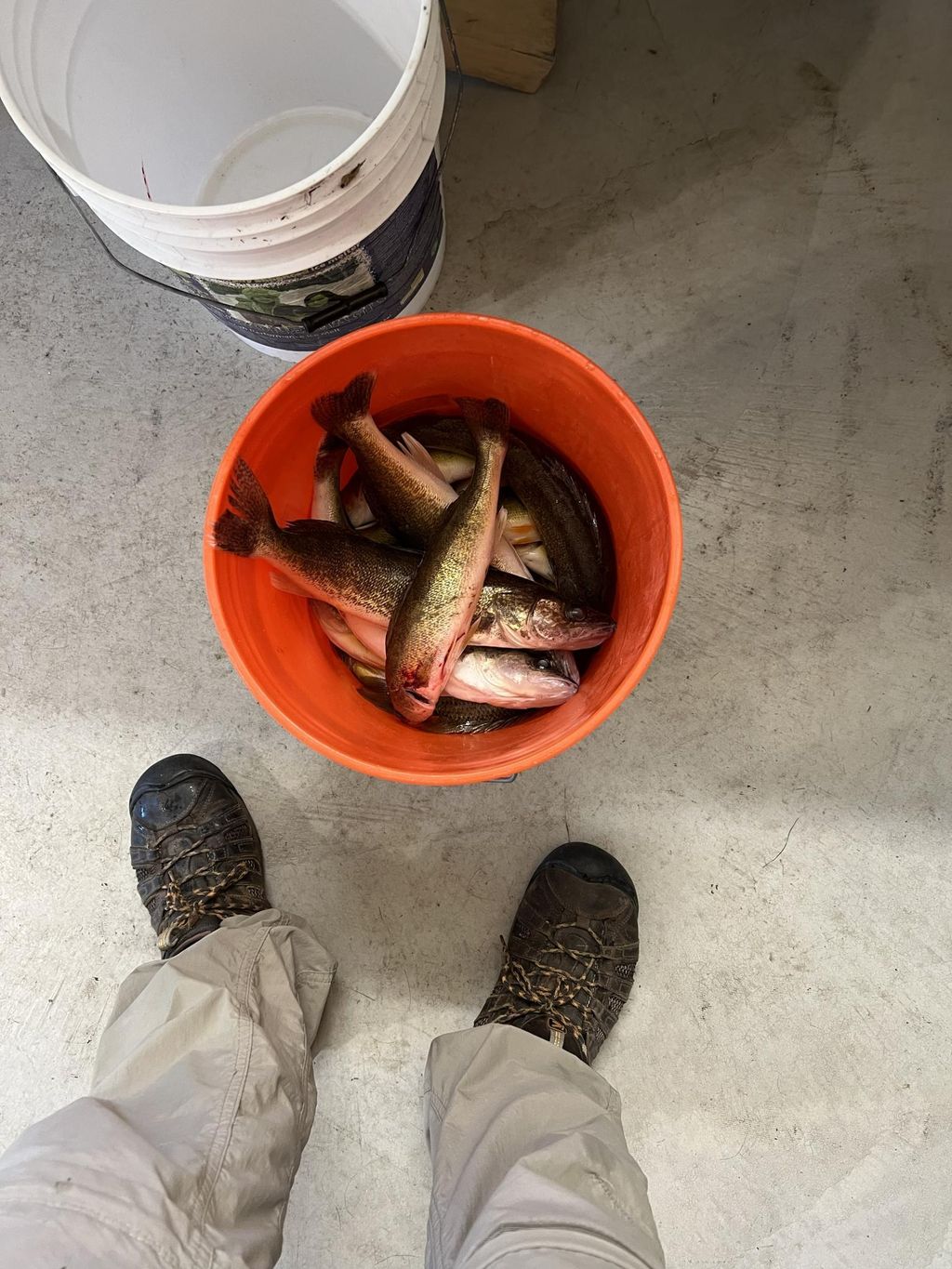 Photo of 11095 Ottertail Point Drive NW, Cass Lake, MN 56633 (MLS # 7030008)