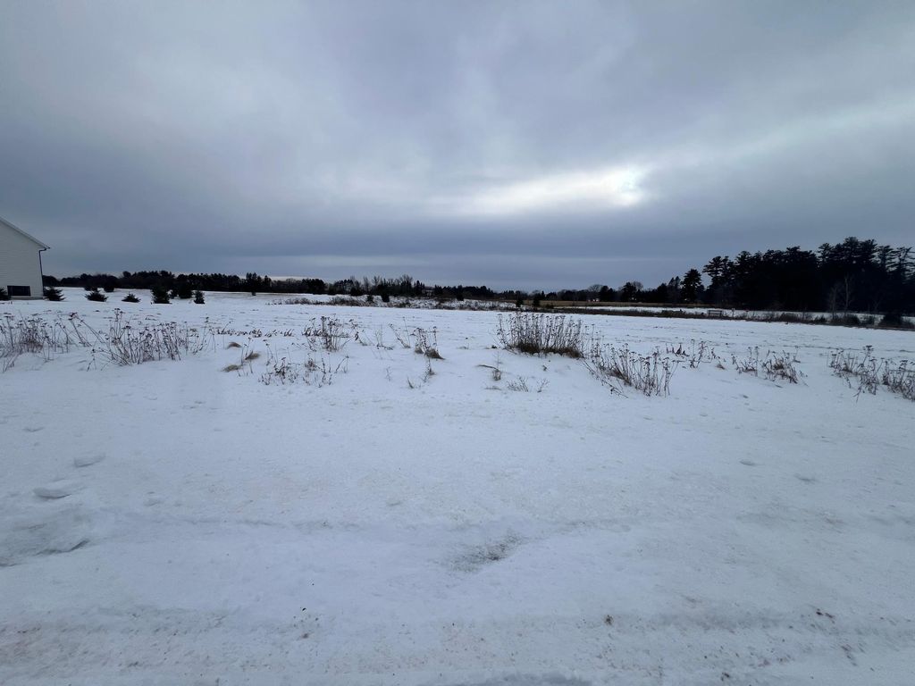 Photo of Lot 49 21 1/4 Street, Rice Lake, WI 54868 (MLS # 7002322)