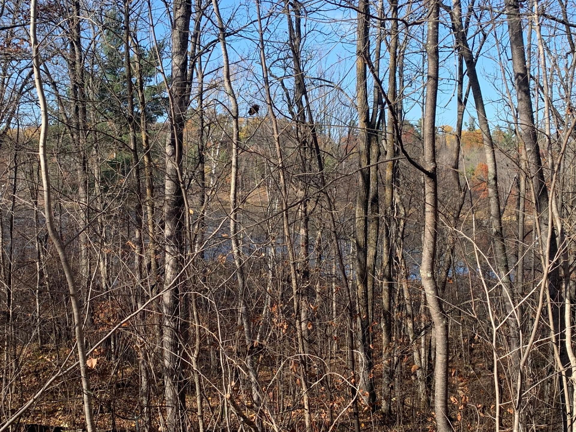 Lot 2 County Road 136