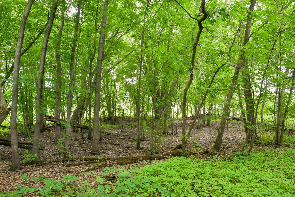 Photo of 19231 Highwood Shores Road, Pine City, MN 55063 (MLS # 7105191)