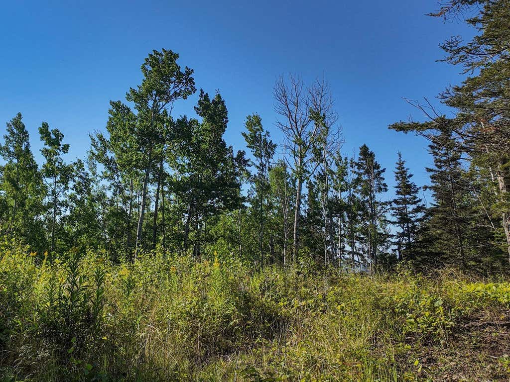 Photo of XXX Casper's Hill Road, Grand Marais, MN 55604 (MLS # 7134333)