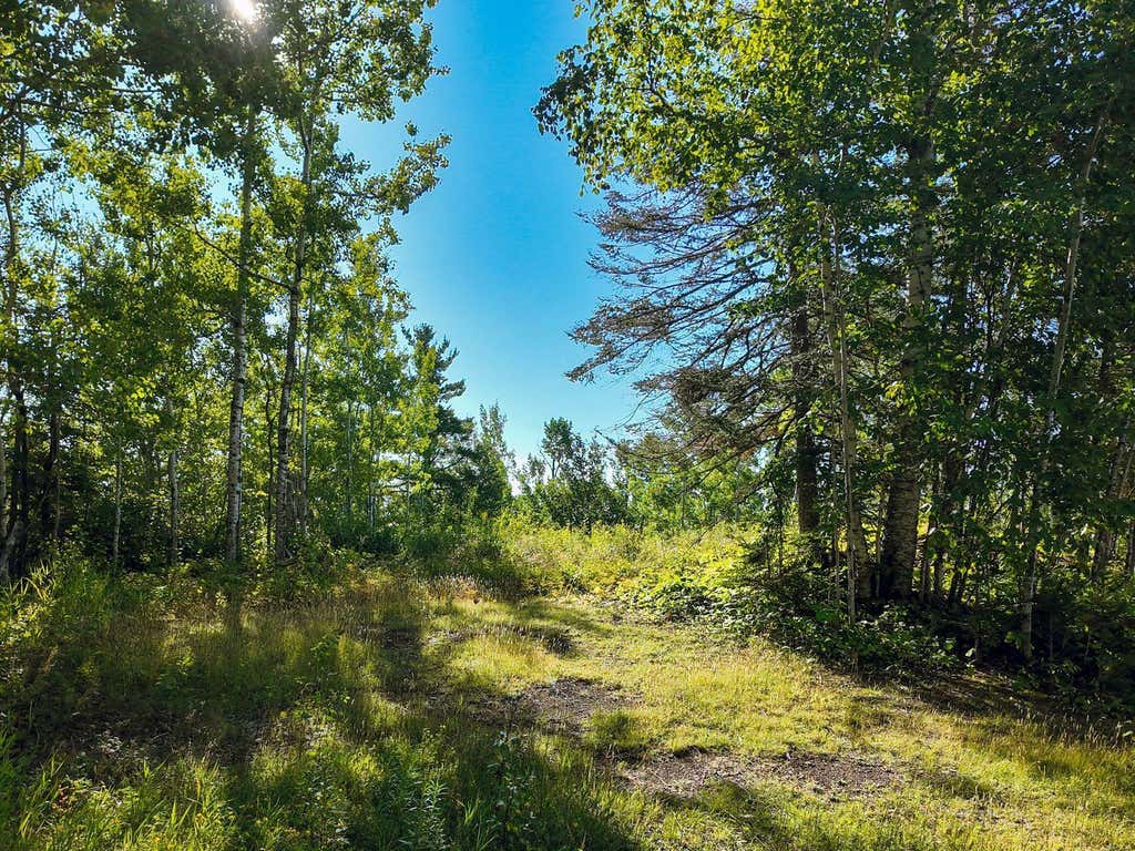 Photo of XXX Casper's Hill Road, Grand Marais, MN 55604 (MLS # 7134333)