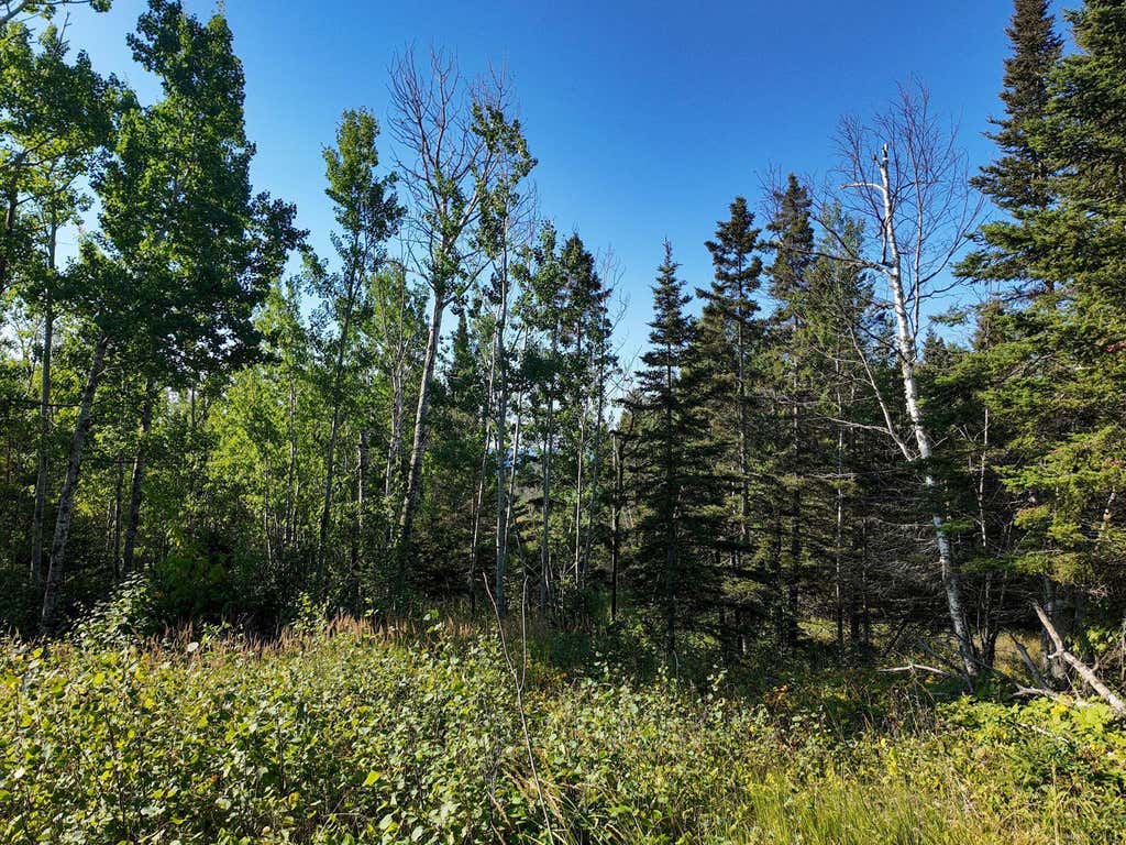 Photo of XXX Casper's Hill Road, Grand Marais, MN 55604 (MLS # 7134333)