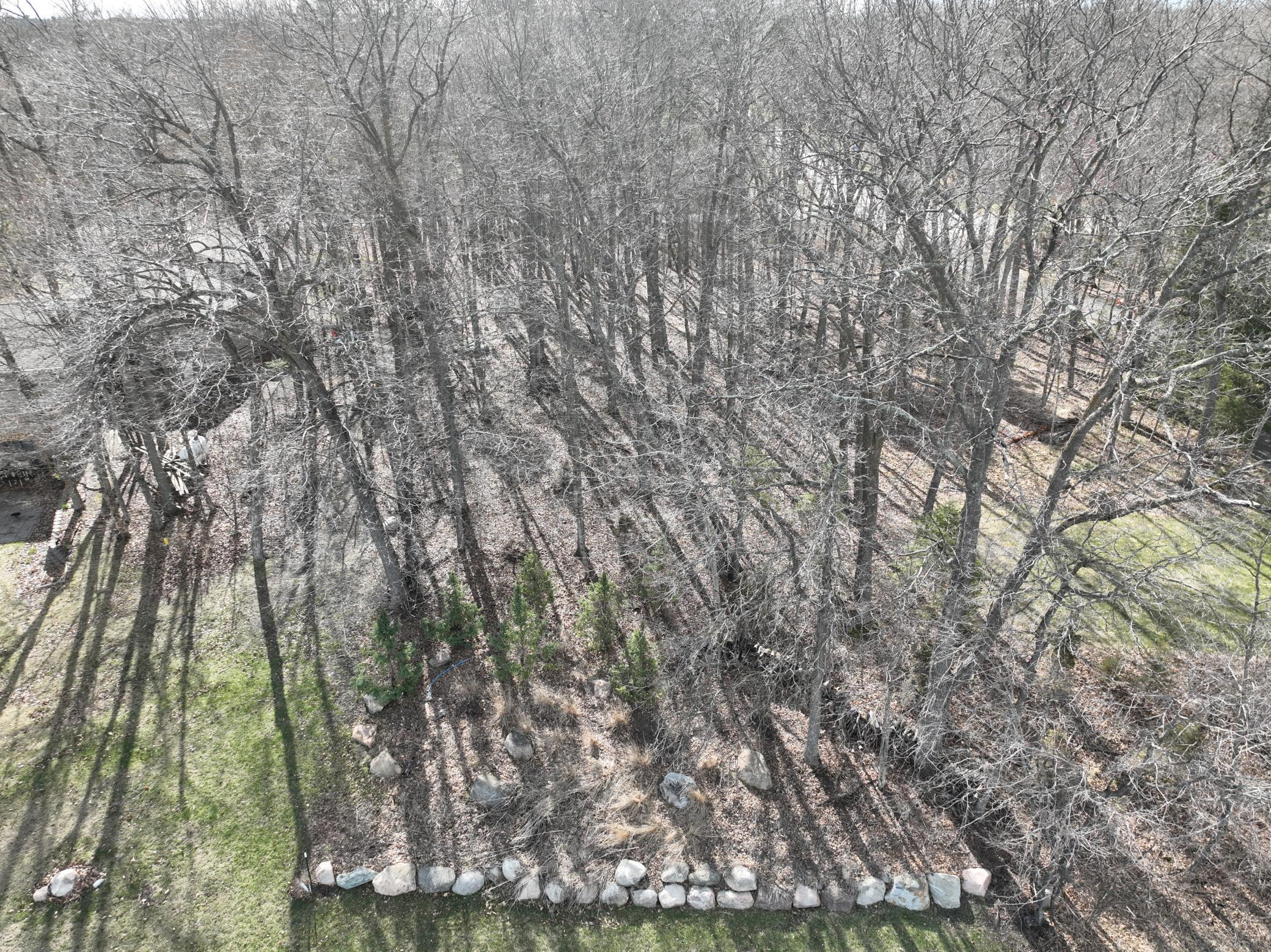 TBD Hawthorn Trail