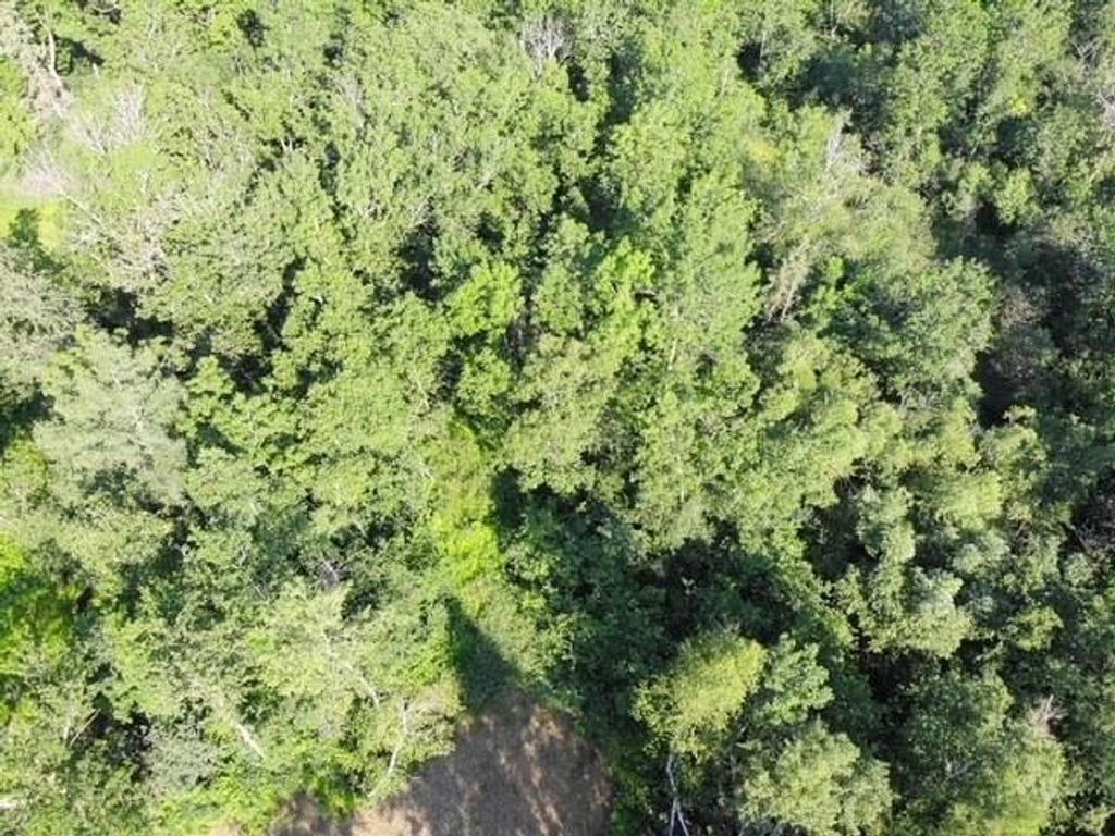 Photo of TBD CO HWY 71, Wadena, MN 56482 (MLS # 7044225)