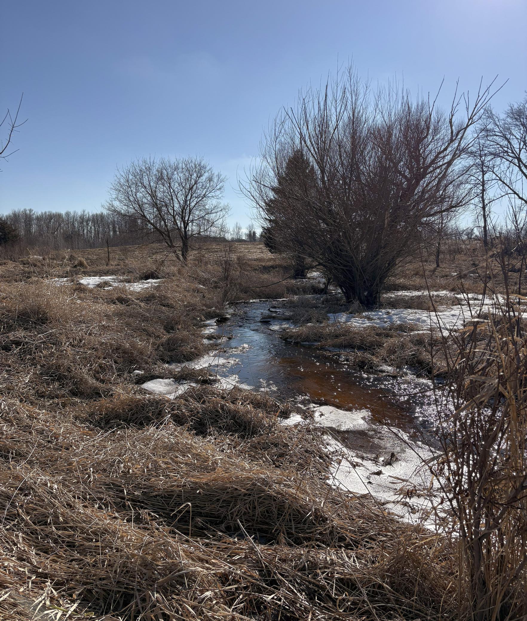 TBD 4.64 AC 160th Avenue