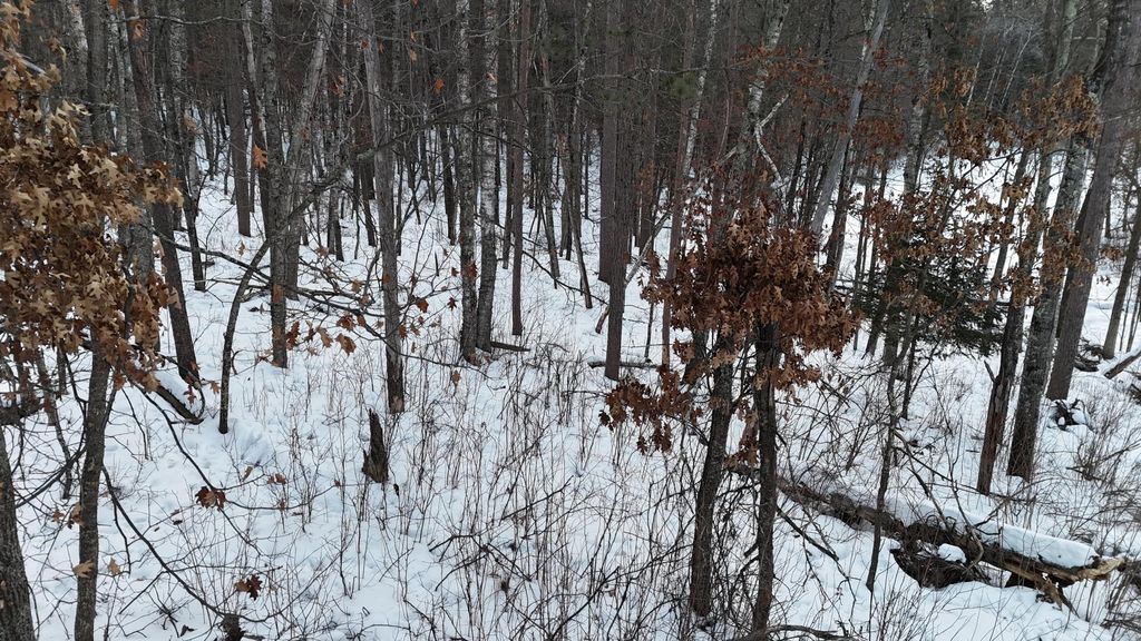 Photo of 37898 Spruce Drive, Sturgeon Lake, MN 55783 (MLS # 7020538)