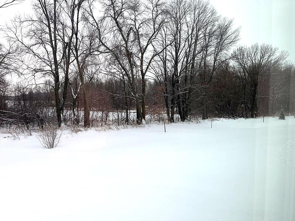 Photo of 1881 Charleston Lane, Waconia, MN 55387 (MLS # 7002811)