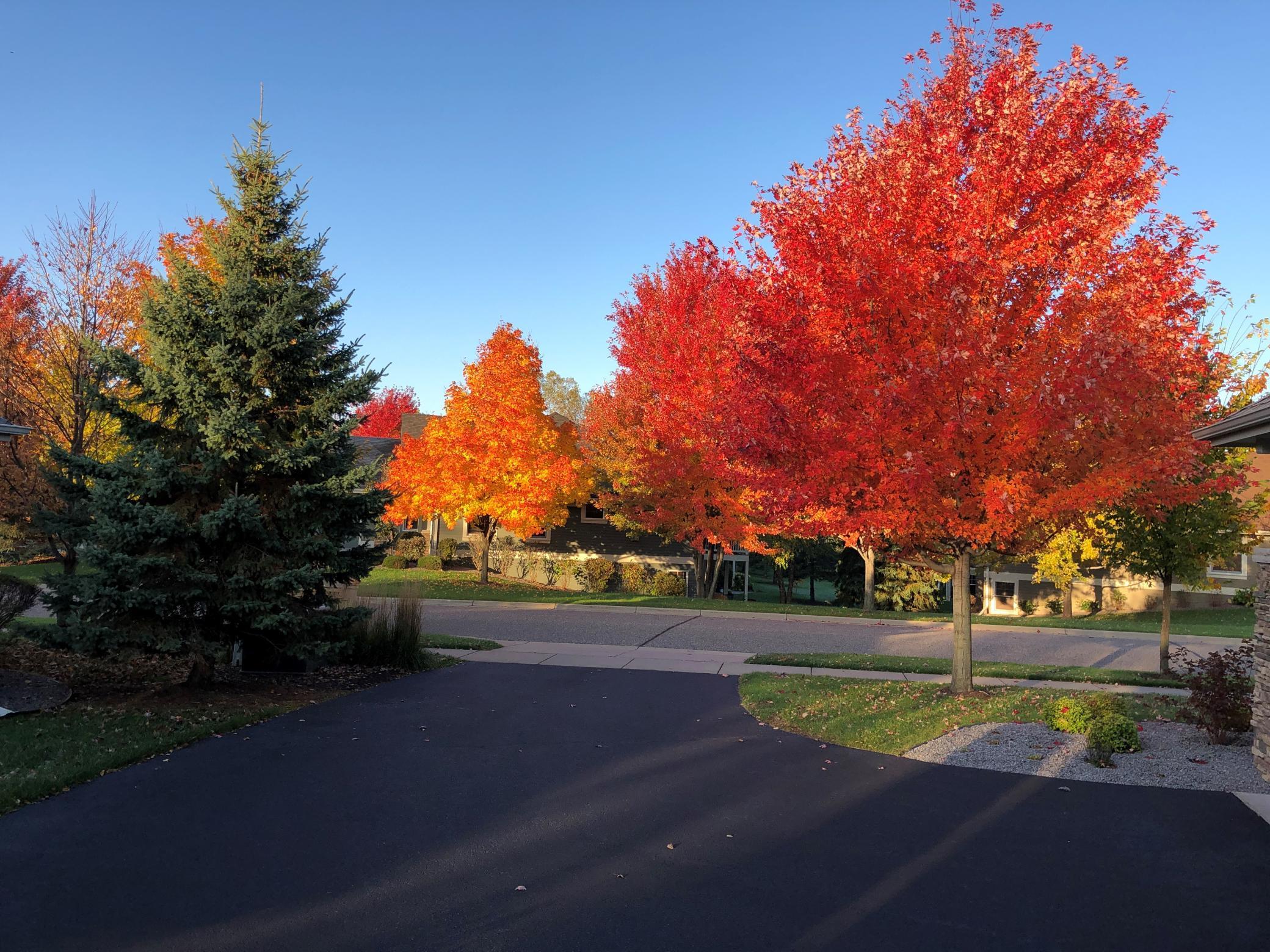 10616 Water Lily Lane