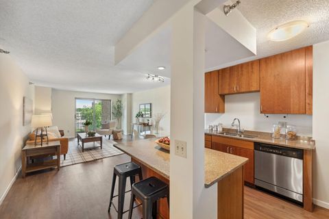 401 S 1st Street 315 Minneapolis MN 55401