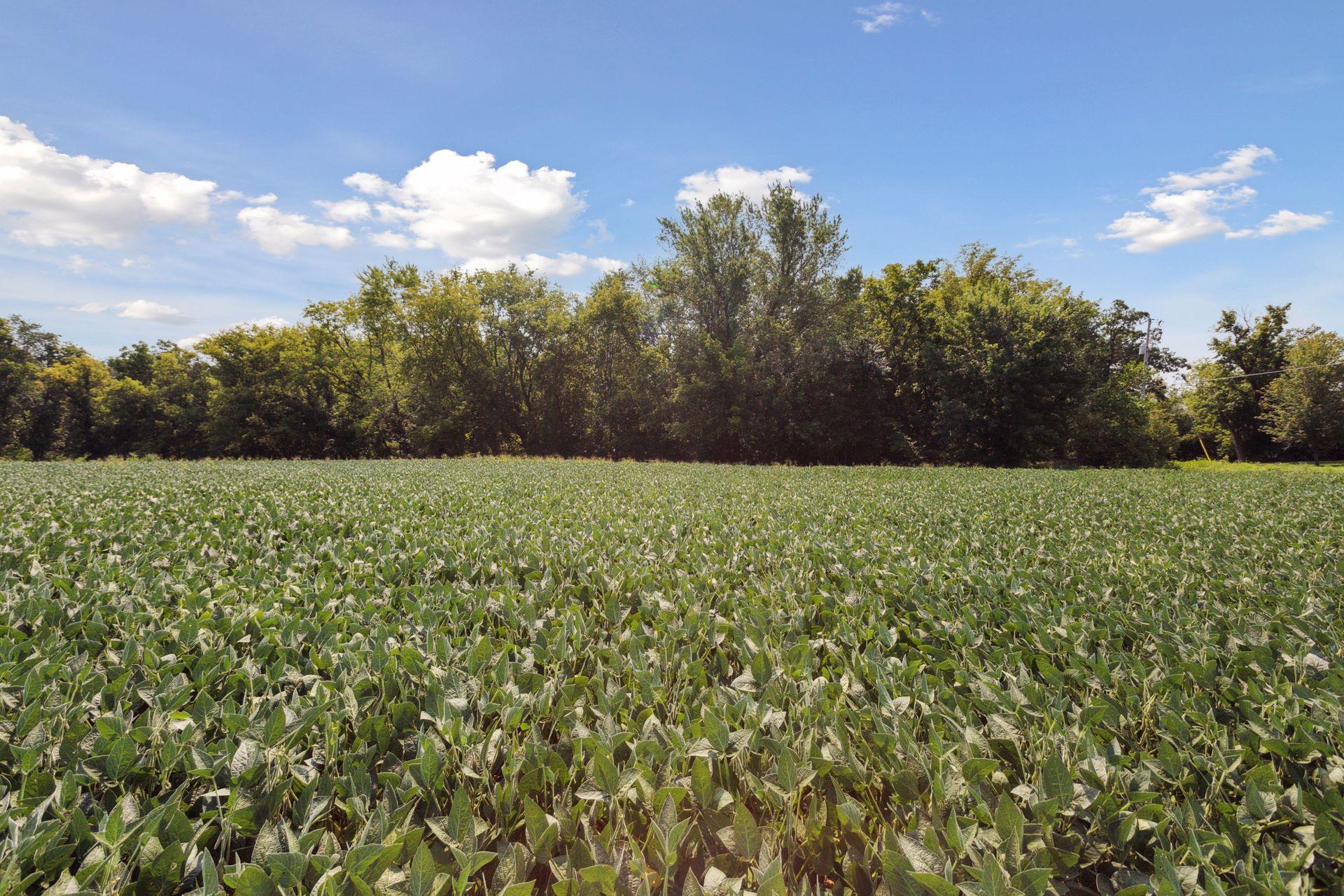 24x3 Holy Name Drive