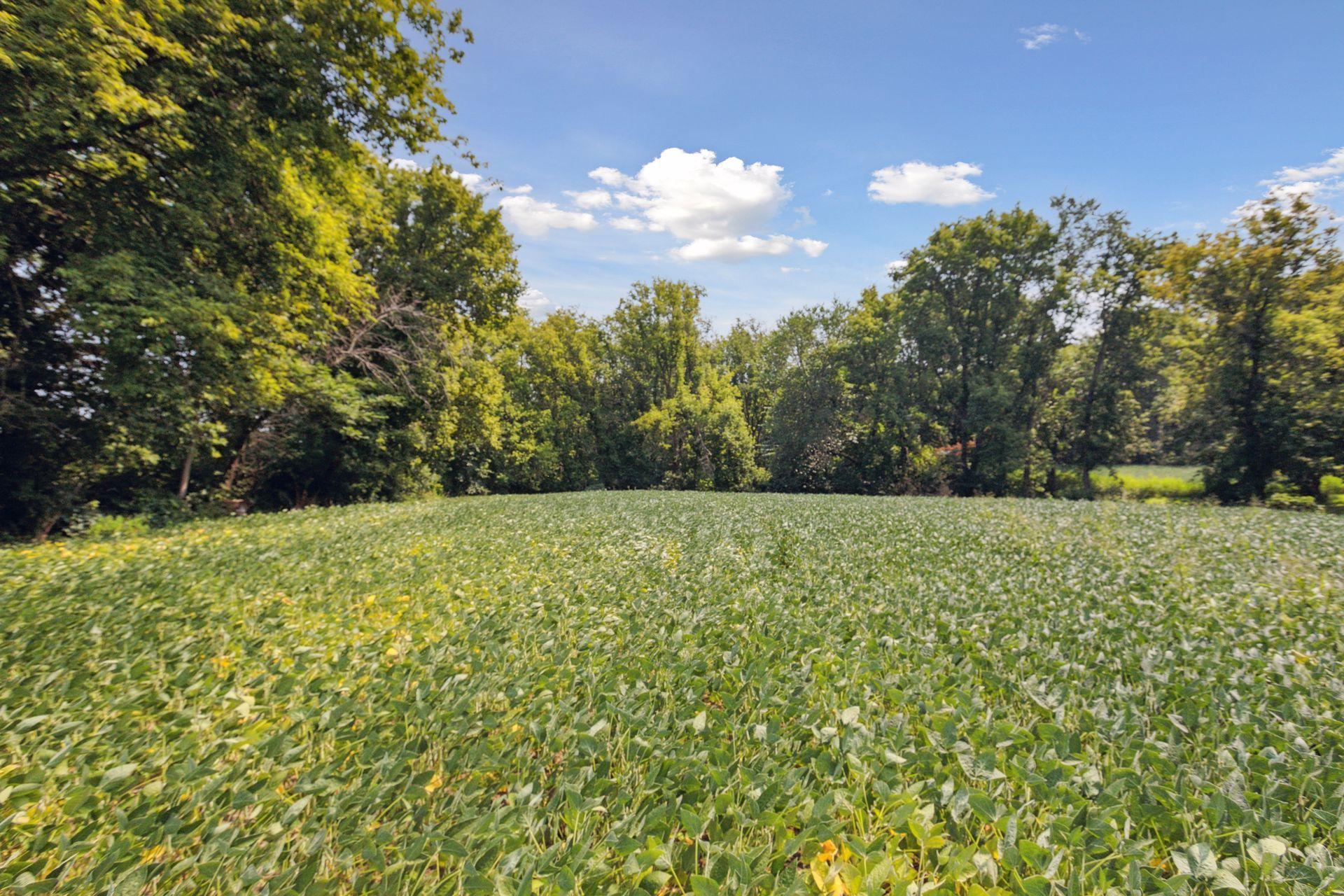 24x3 Holy Name Drive